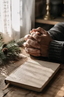 Praying Hands in Soft Evergreen Morning Light