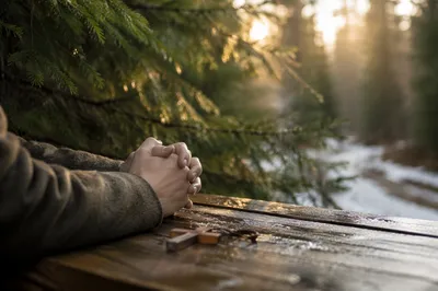 Praying Hands in Evergreen Morning Light