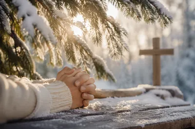 Praying Hands Beneath Winter Evergreen Light