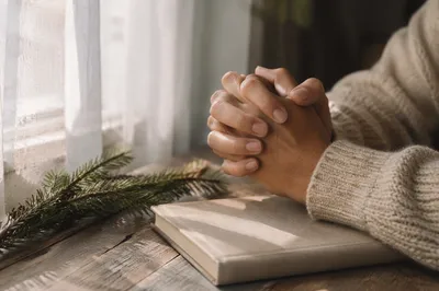 Praying Hands in Soft Evergreen Morning Light