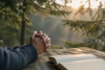 Praying Hands in Evergreen Morning Light