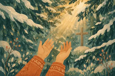 Hands Reaching Toward Light in Evergreen Forest