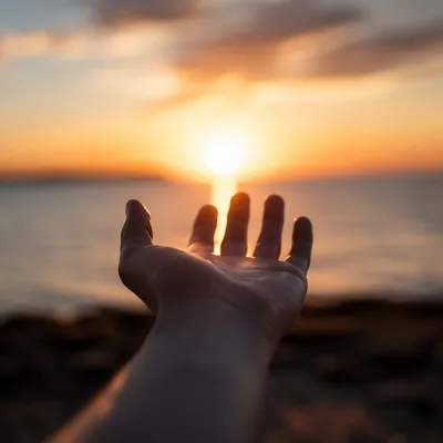 Hand Reaching Toward Sunset Light