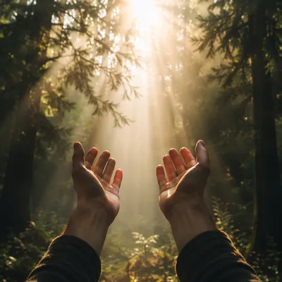 Hands Reaching Toward Forest Sunlight