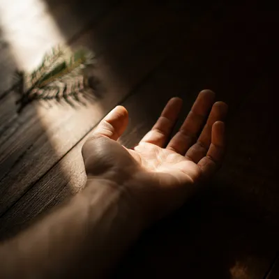 Open Hand Reaching Toward Sunlit Hope