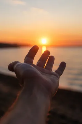 Hand Reaching Toward Sunset Light