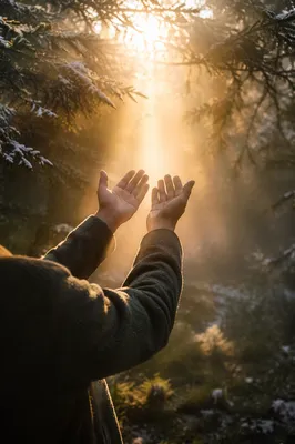 Hands Reaching Toward Golden Forest Light