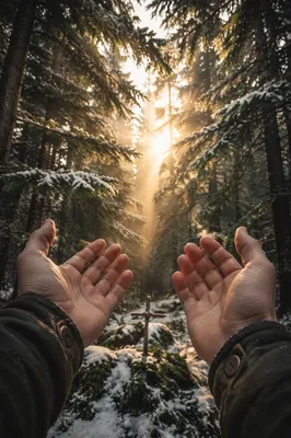 Hands Reaching Toward Morning Light in Forest