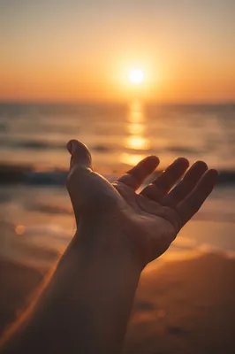 Hand Reaching Toward Sunset Ocean Light