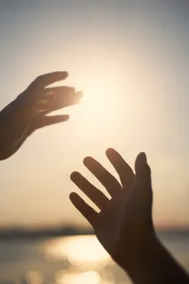 Hands Reaching Toward Gentle Sunlight