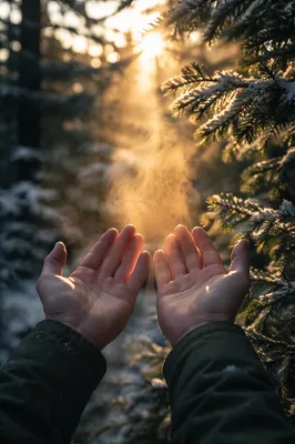 Hands Reaching Toward Golden Forest Light