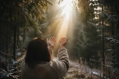 Open Hands Reaching Toward Forest Light