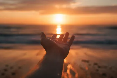 Hand Reaching Toward Sunset Light