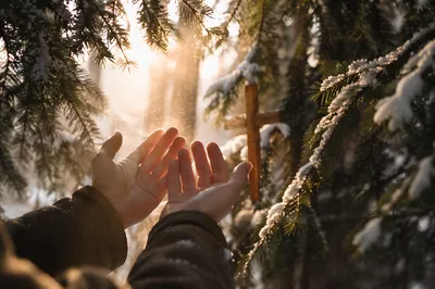 Open Hands Reaching Toward Forest Light