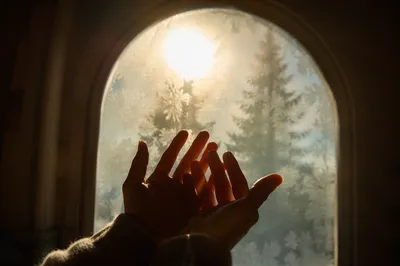 Hands Reaching Toward Winter Light