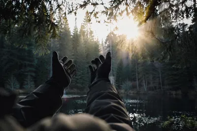 Hands Reaching Toward Forest Sunlight
