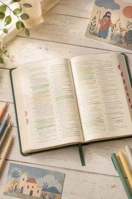 Highlighted Bible Passages on Whitewashed Table