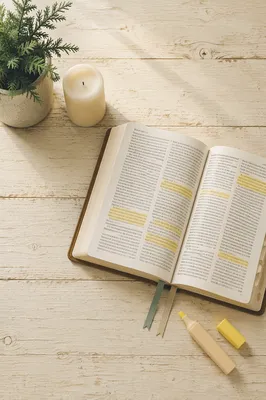Highlighted Bible Passages with Evergreen Accent