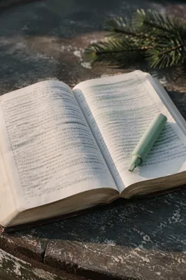 Evergreen Highlighted Bible Study Close Up