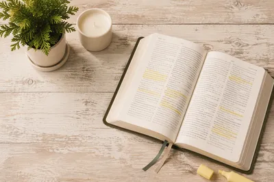Highlighted Bible Passages with Evergreen Decor