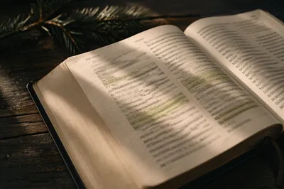 Evergreen Highlighted Bible Study Close-Up