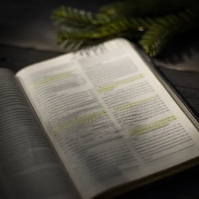 Evergreen Highlighted Bible Study Close-Up