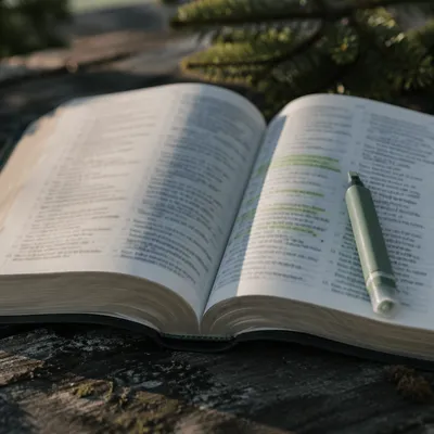 Evergreen Highlighter on Open Bible Pages