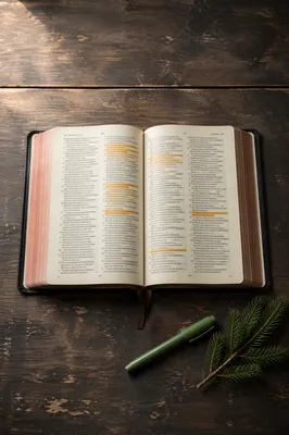 Highlighted Bible Passages with Evergreen Sprig