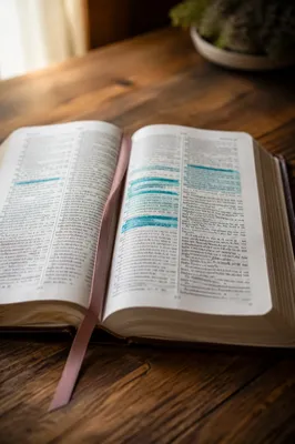 Highlighted Bible Passages in Evergreen Light