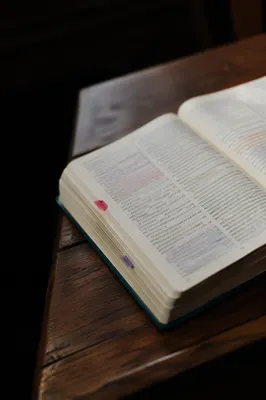 Open Study Book with Highlighted Pages
