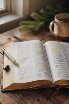 Highlighted Bible Passages for Quiet Devotion
