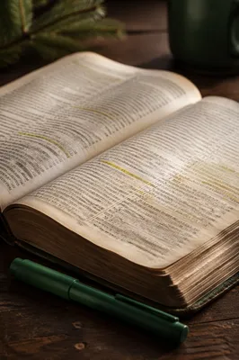 Highlighted Bible Passages with Evergreen Marker