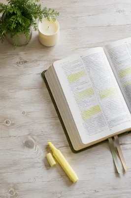 Highlighted Bible Passages with Evergreen Desk