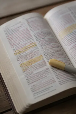 Highlighted Bible Passages with Yellow Marker