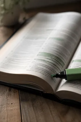 Evergreen Highlighted Bible Study Close-Up
