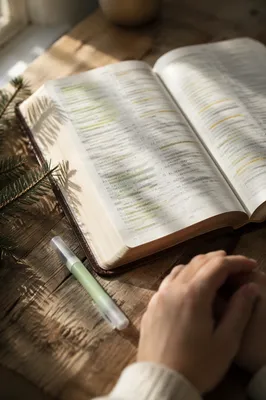 Highlighted Bible Study with Evergreen Sprig