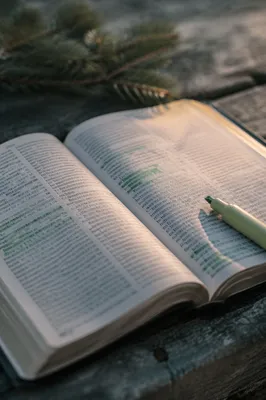Evergreen Highlighter on Open Bible Pages