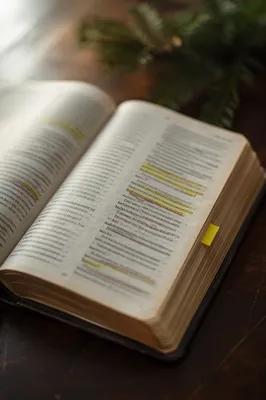 Highlighted Bible Pages on Wooden Table