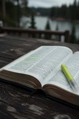 Evergreen Highlighted Bible on Weathered Table