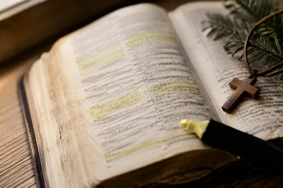 Highlighted Bible Study with Evergreen Sprig