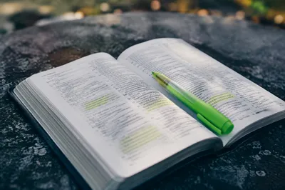 Highlighted Bible Passages with Green Highlighter