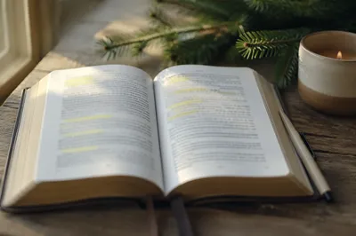 Highlighted Bible Passages with Evergreen Devotion