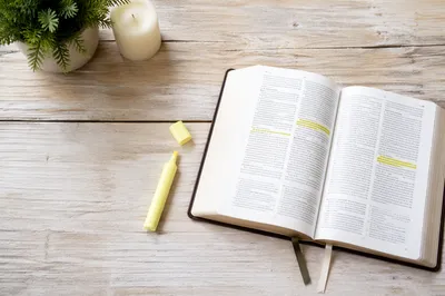 Highlighted Bible Passages with Evergreen Desk