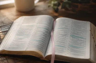 Highlighted Bible Passages on Rustic Table