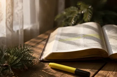 Highlighted Bible Pages with Evergreen Sprig