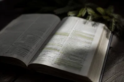 Evergreen Highlighted Bible Study Close-Up