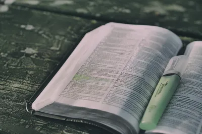 Evergreen Highlighter on Open Bible Pages