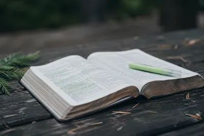 Evergreen Highlighter on Open Bible Pages