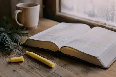 Pastel Marker Beside Highlighted Bible and Evergreen