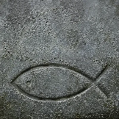 Carved Ichthys Symbol on Weathered Stone